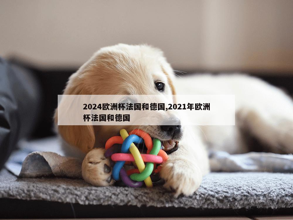 2024欧洲杯法国和德国,2021年欧洲杯法国和德国