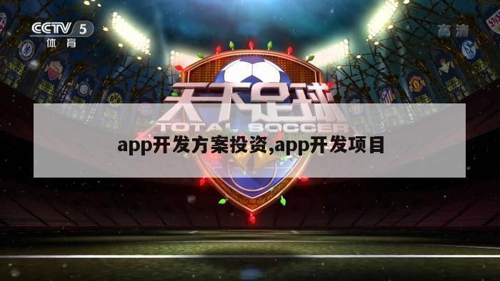 app开发方案投资,app开发项目