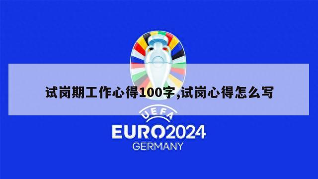 试岗期工作心得100字,试岗心得怎么写