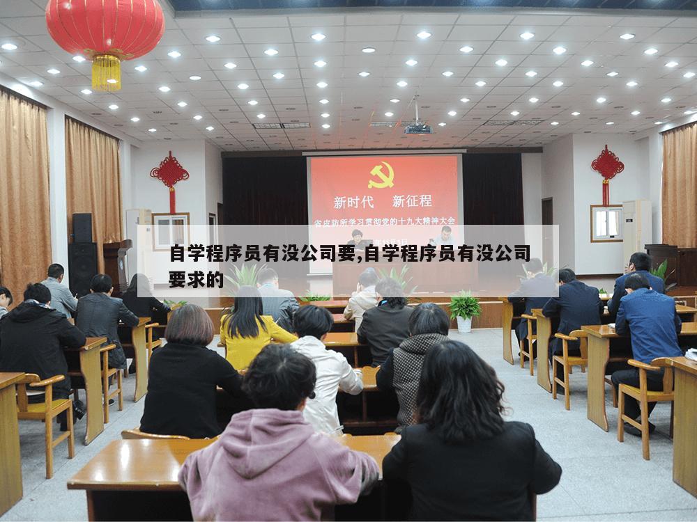 自学程序员有没公司要,自学程序员有没公司要求的