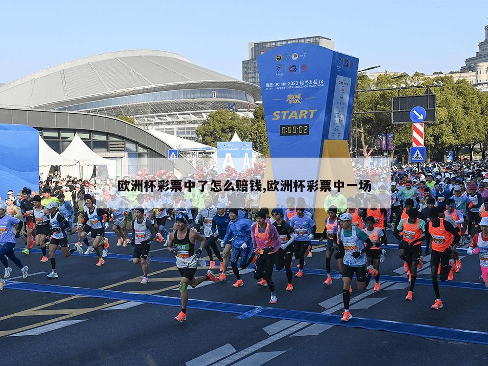 欧洲杯彩票中了怎么赔钱,欧洲杯彩票中一场