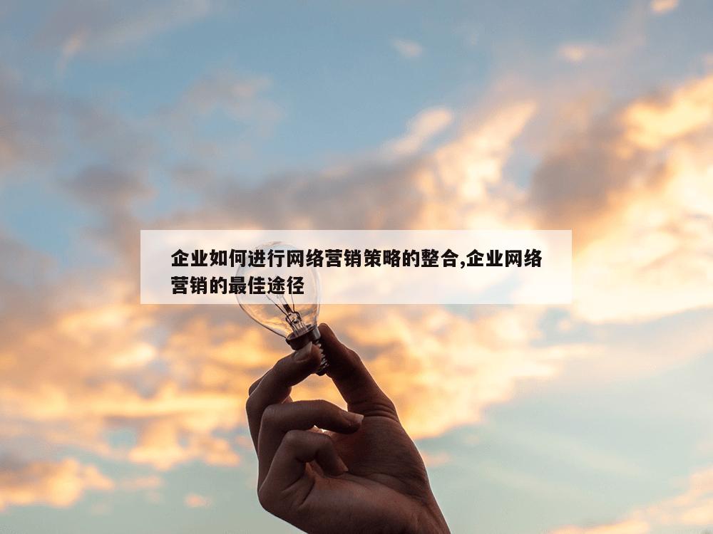 企业如何进行网络营销策略的整合,企业网络营销的最佳途径