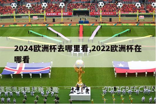 2024欧洲杯去哪里看,2022欧洲杯在哪看